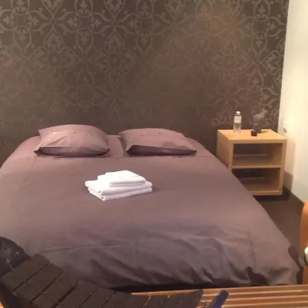 Appartement Duplex Cosy Au Coeur De Nancy, 3 Spacieuses, Parking Et Tous Services Inclus - Fr-1-584-341 Nancy