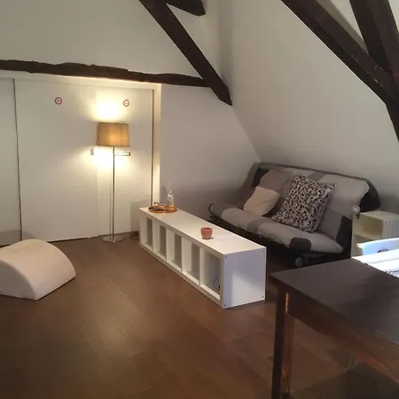 Appartement Duplex Cosy Au Coeur De Nancy, 3 Spacieuses, Parking Et Tous Services Inclus - Fr-1-584-341