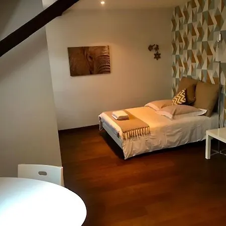 Appartement Duplex Cosy Au Coeur De Nancy, 3 Spacieuses, Parking Et Tous Services Inclus - Fr-1-584-341 Nancy
