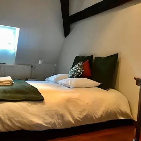 Appartement Duplex Cosy Au Coeur De Nancy, 3 Spacieuses, Parking Et Tous Services Inclus - Fr-1-584-341
